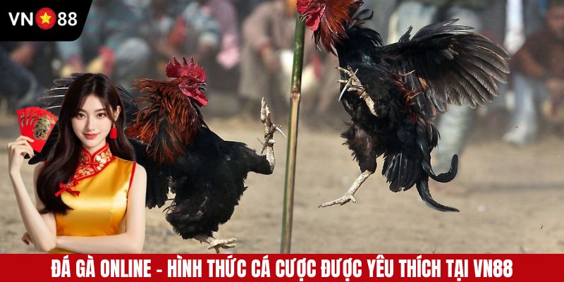 Đá Gà Online VN88 - Đặt Cược Trực Tuyến Nhanh Tại Nhà