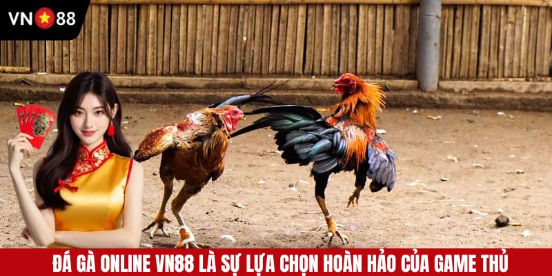 Đá gà VN88 - Sự lựa chọn hoàn hảo cho các game thủ