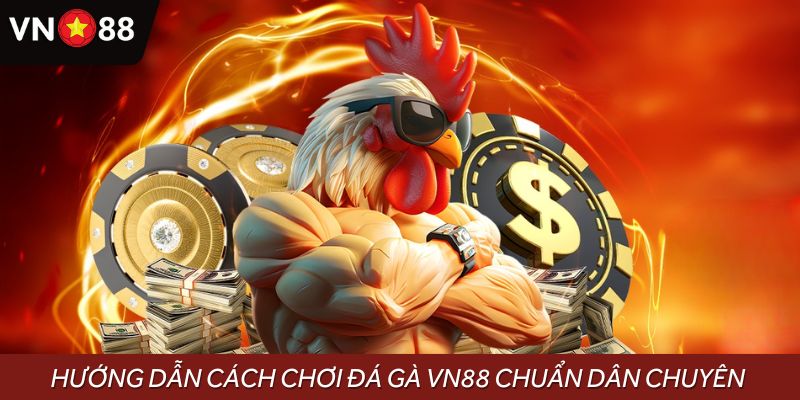 Hướng dẫn cách chơi đá gà VN88 chuẩn dân chuyên