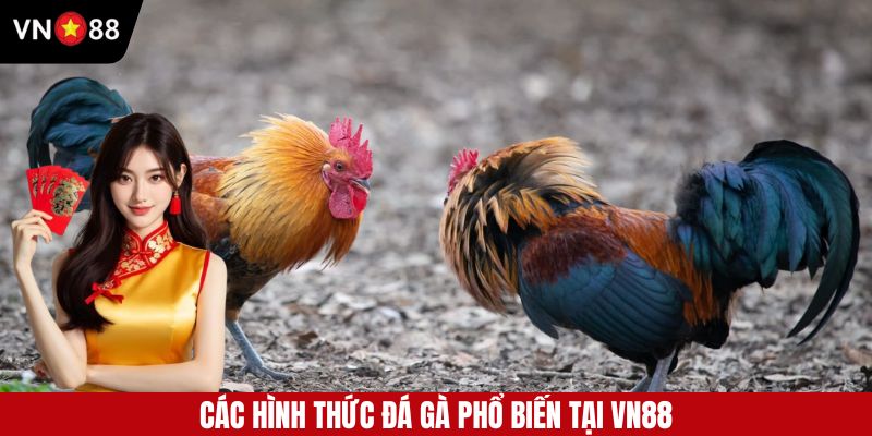 Những hình thức đá gà online phổ biến được yêu thích tại VN88