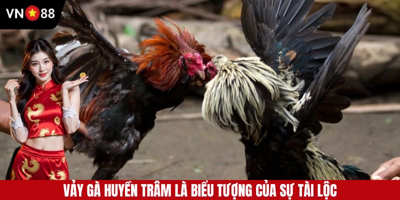 Vảy huyền trâm ở gà là biểu tượng của sự may mắn và tài lộc